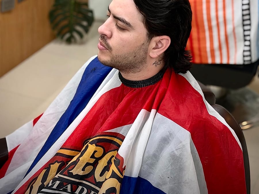 Corte con volumen y plantas al fondo